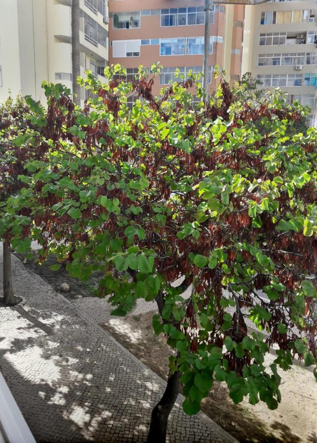 Casinha Da Ria Apartman FAO Kültér fotó